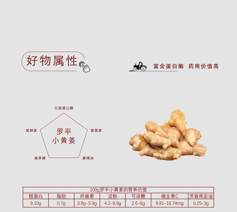 小黄姜_02.jpg