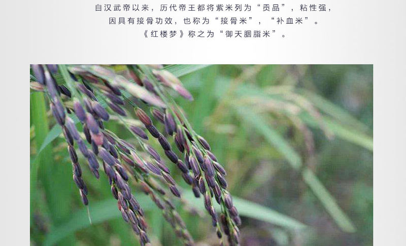 作品壹号_06.jpg