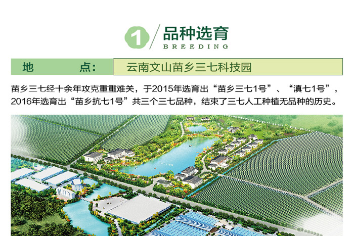 xitong_05.png