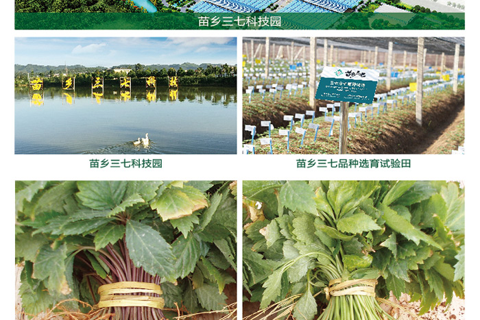 xitong_06.png