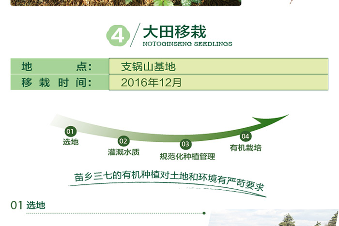 xitong_10.png