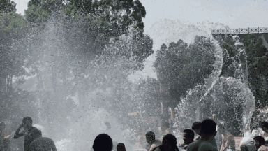 4.gif