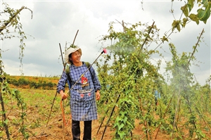 2018062711_res08_attpic_icon.jpg