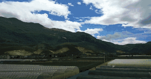 2.gif
