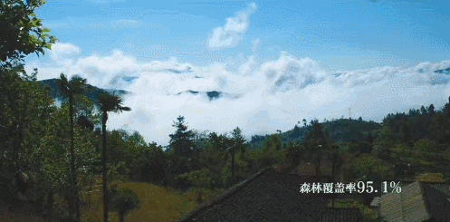 0.gif