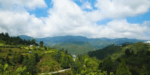 8.gif