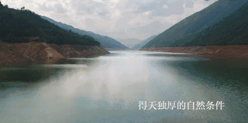 9.gif