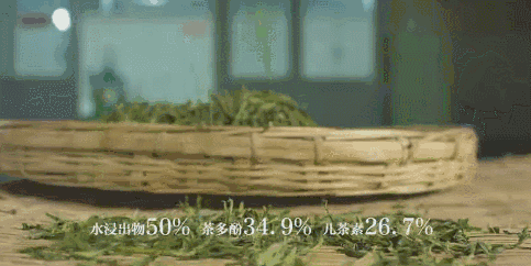 10.gif