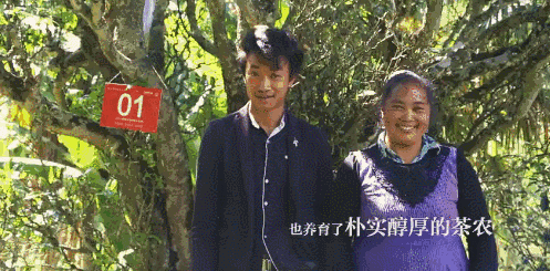 14.gif