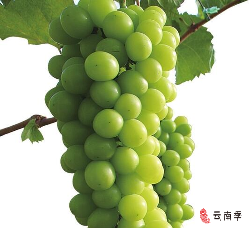图片1.png
