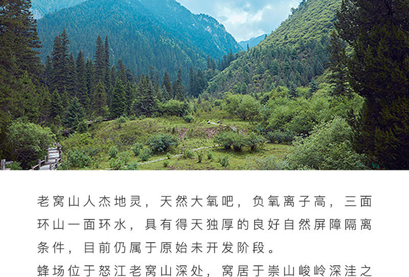亚哈吧蜂蜜_07.jpg
