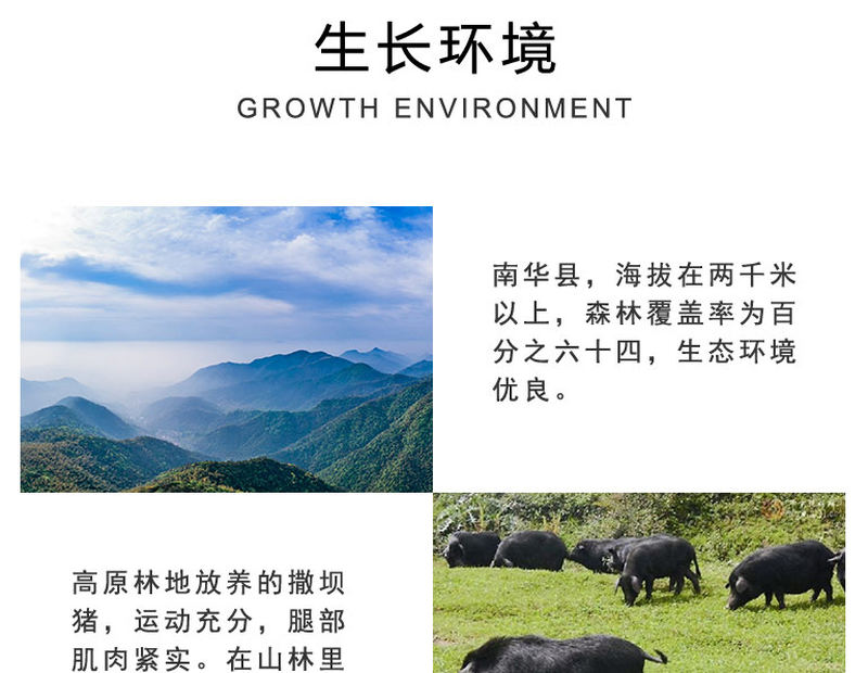 南华火腿_04.jpg